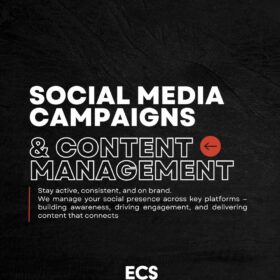 social media campaigns and content management
